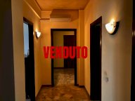 vendita appartamento Ponsacco