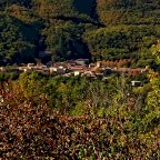 vendita appartamento Montieri