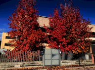 vendita appartamento Cascina