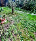 vendita appartamento Montelupo Fiorentino