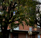 Vendita Appartamento Carpi