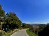 vendita appartamento Murlo
