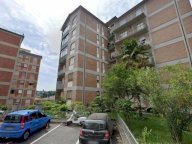 vendita appartamento Siena