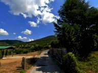 vendita appartamento Nocera Umbra