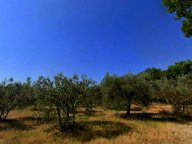 vendita appartamento Castiglione del Lago