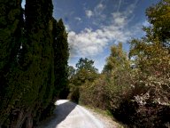 vendita appartamento Radda in Chianti