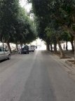 Vendita  Noto