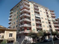 Vendita Negozio Frosinone
