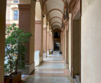 Vendita Negozio Ferrara