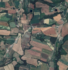 Vendita Magazzino Montone