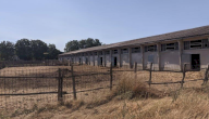 Vendita Magazzino Vicchio
