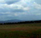 Vendita Capannone Lanuvio