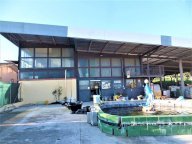 Vendita Negozio Alatri