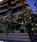 Vendita Ufficio Trani