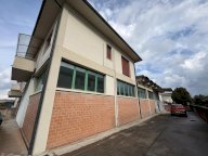 vendita capannone artigianale Castelfranco di Sotto