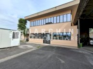 vendita capannone artigianale Capannori