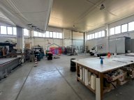 vendita capannone artigianale Campiglia Marittima