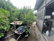 vendita capannone artigianale Pietrasanta