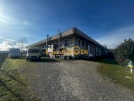 vendita capannone artigianale Terricciola