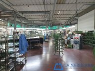 vendita capannone industriale Cerreto Guidi