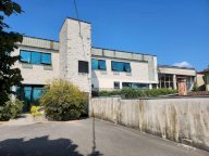 vendita capannone artigianale Capannori