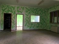 Vendita Capannone Capannori