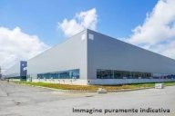 vendita capannone artigianale Bientina