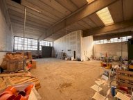 vendita capannone artigianale Bientina