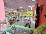 vendita capannone commerciale Vicopisano