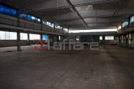 vendita capannone industriale Pontedera