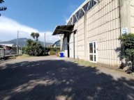 vendita capannone artigianale Massa