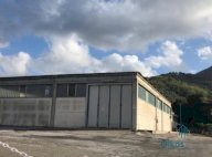 vendita capannone artigianale Massarosa