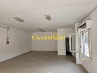 vendita locale commerciale Collesalvetti