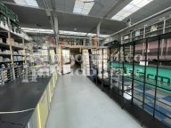 vendita capannone commerciale San Giuliano Terme