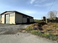 vendita capannone artigianale Capannori