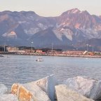 vendita capannone artigianale Luni