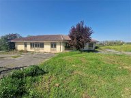 Vendita Negozio Frosinone