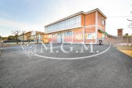 vendita capannone artigianale Casciana Terme Lari