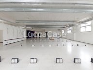 vendita capannone commerciale Porcari