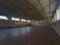 vendita capannone artigianale Capannori