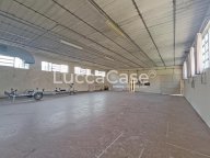 vendita capannone artigianale Capannori