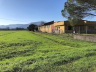 vendita capannone industriale Porcari