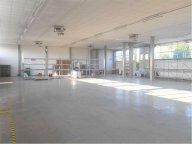 Vendita Capannone Capannori