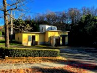 vendita locale commerciale Capannori