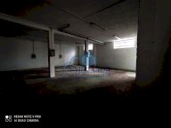 vendita capannone artigianale Luni