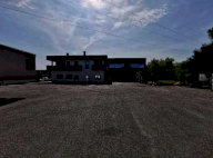 Vendita Capannone Pernumia