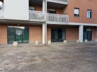 Vendita Negozio Todi