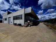 vendita capannone industriale Larciano