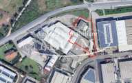 vendita capannone industriale Vicopisano