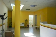 Vendita Ufficio Porcari